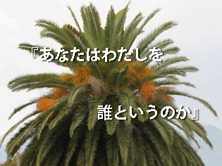 礼拝案内 2020年4月5日(棕櫚/シュロの主日・受難週)
